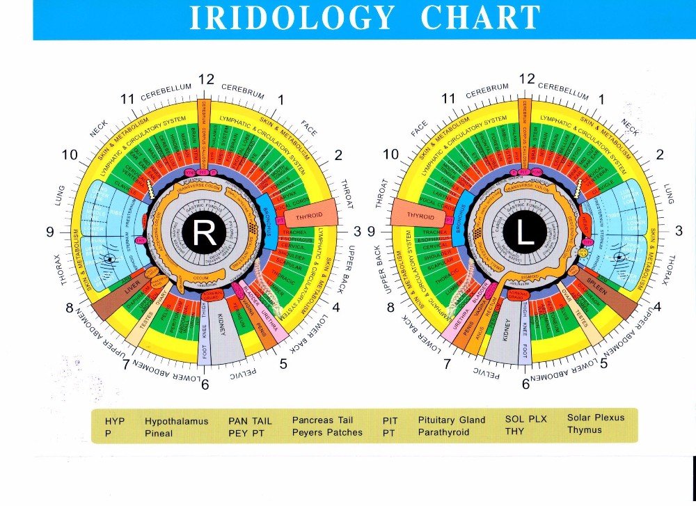 bernard jensen iridology chart 9