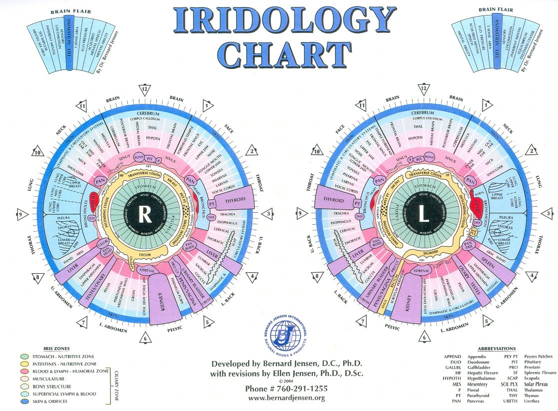 iridology chart left eye 6