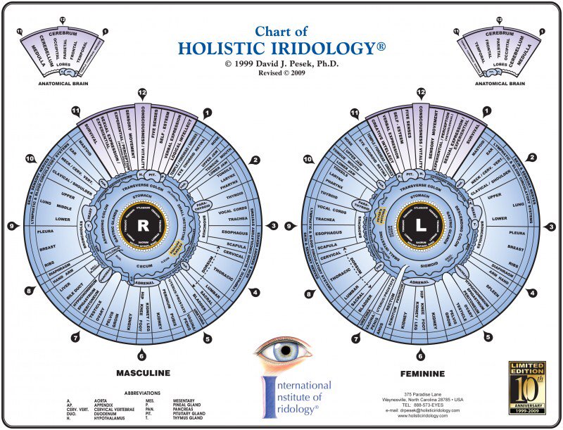 iris reading chart 4