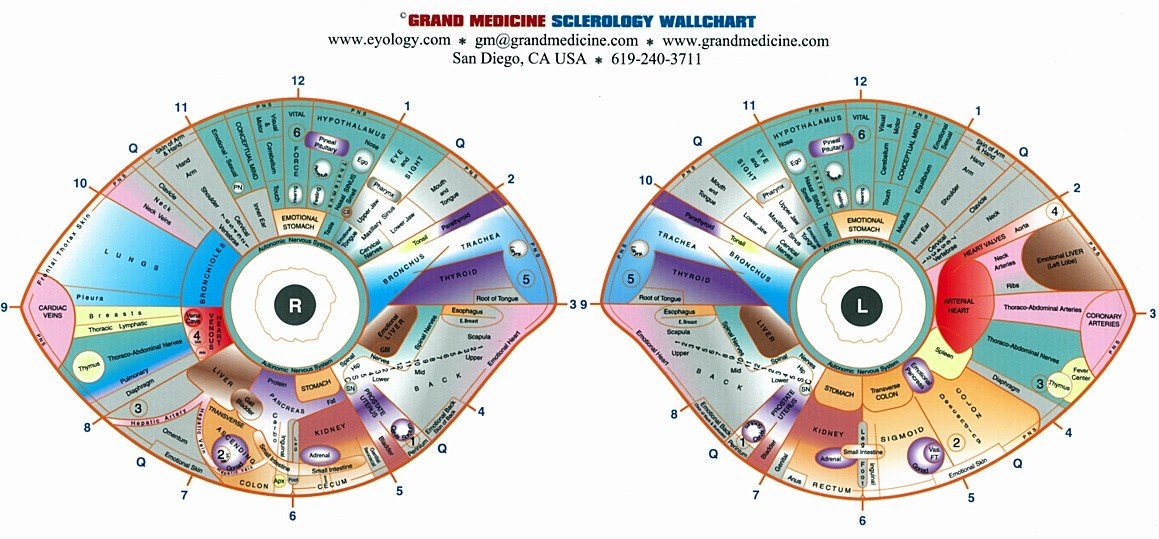 iris reading chart 6