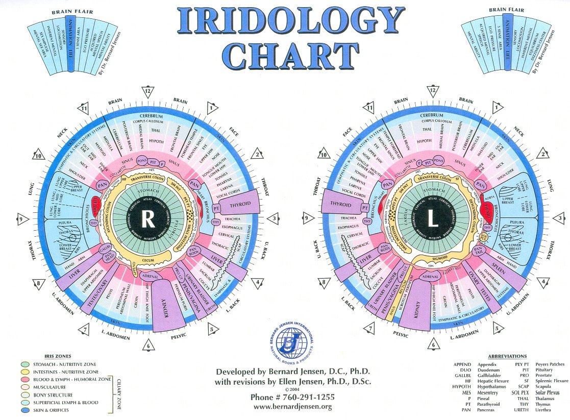 iris reading chart 8