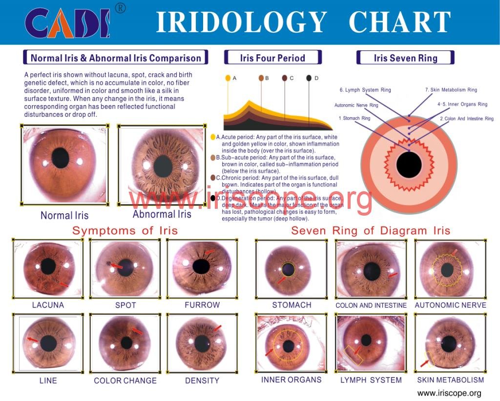 sclerology chart free 6