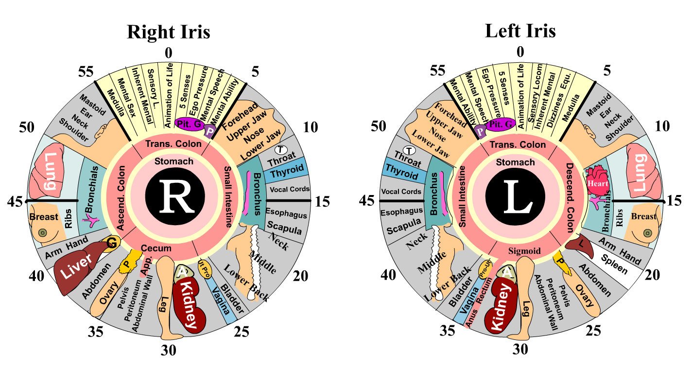 Pebble 9 Iridology Camera