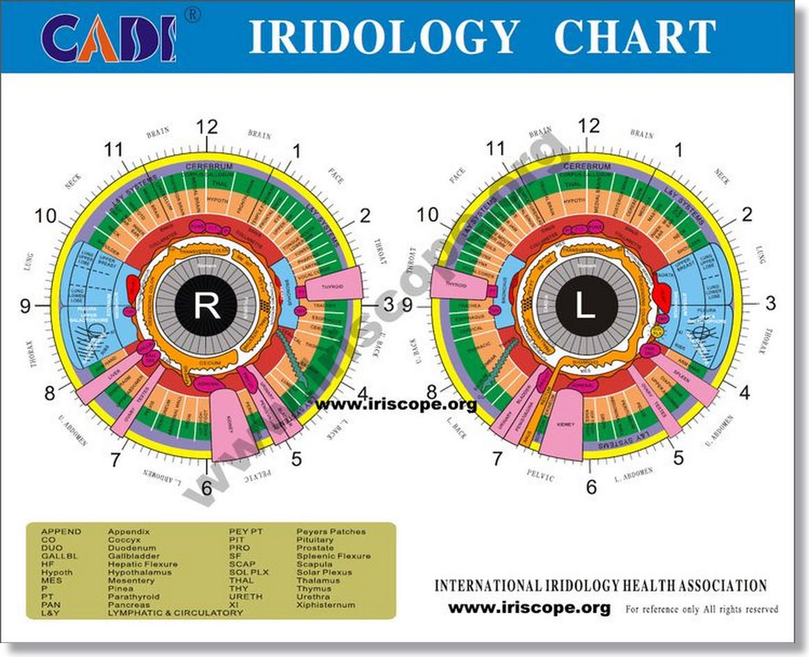 Iridology Eye Color Meaning